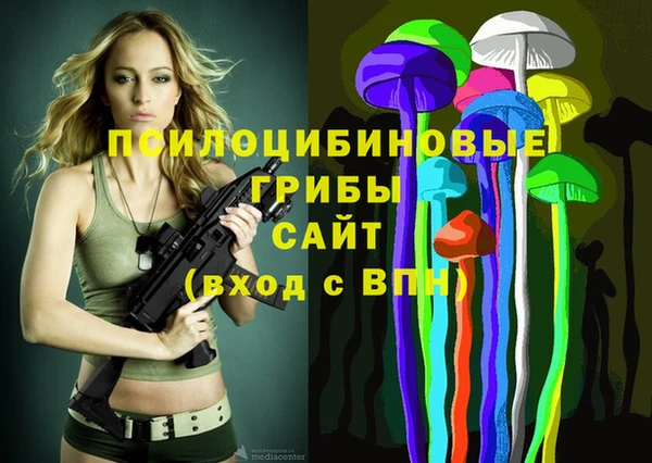 таблы Каменка