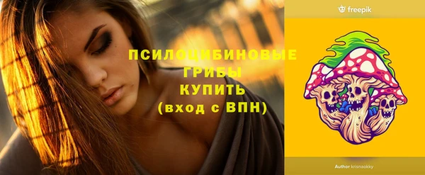 таблы Каменка