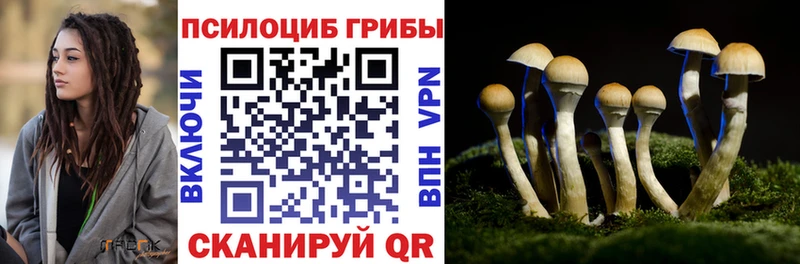 Купить где  Магас  Галлюциногенные грибы Magic Shrooms 